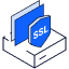 Free Domain & SSL Certificates