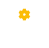 Knowledge Base